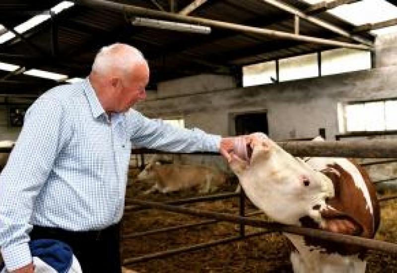 Nuevo alimento para animales de granja aprobado por la UE